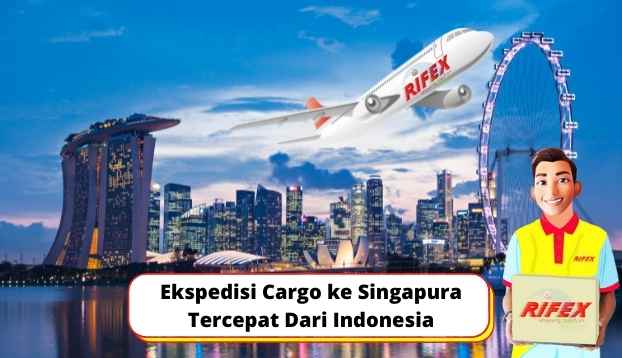 Ekspedisi Cargo ke Singapura Tercepat Dari Indonesia
