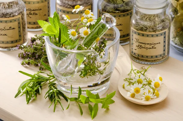 pengiriman herbal ke luar negeri