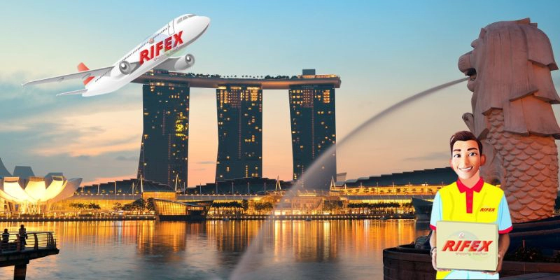 jasa kirim ke singapore